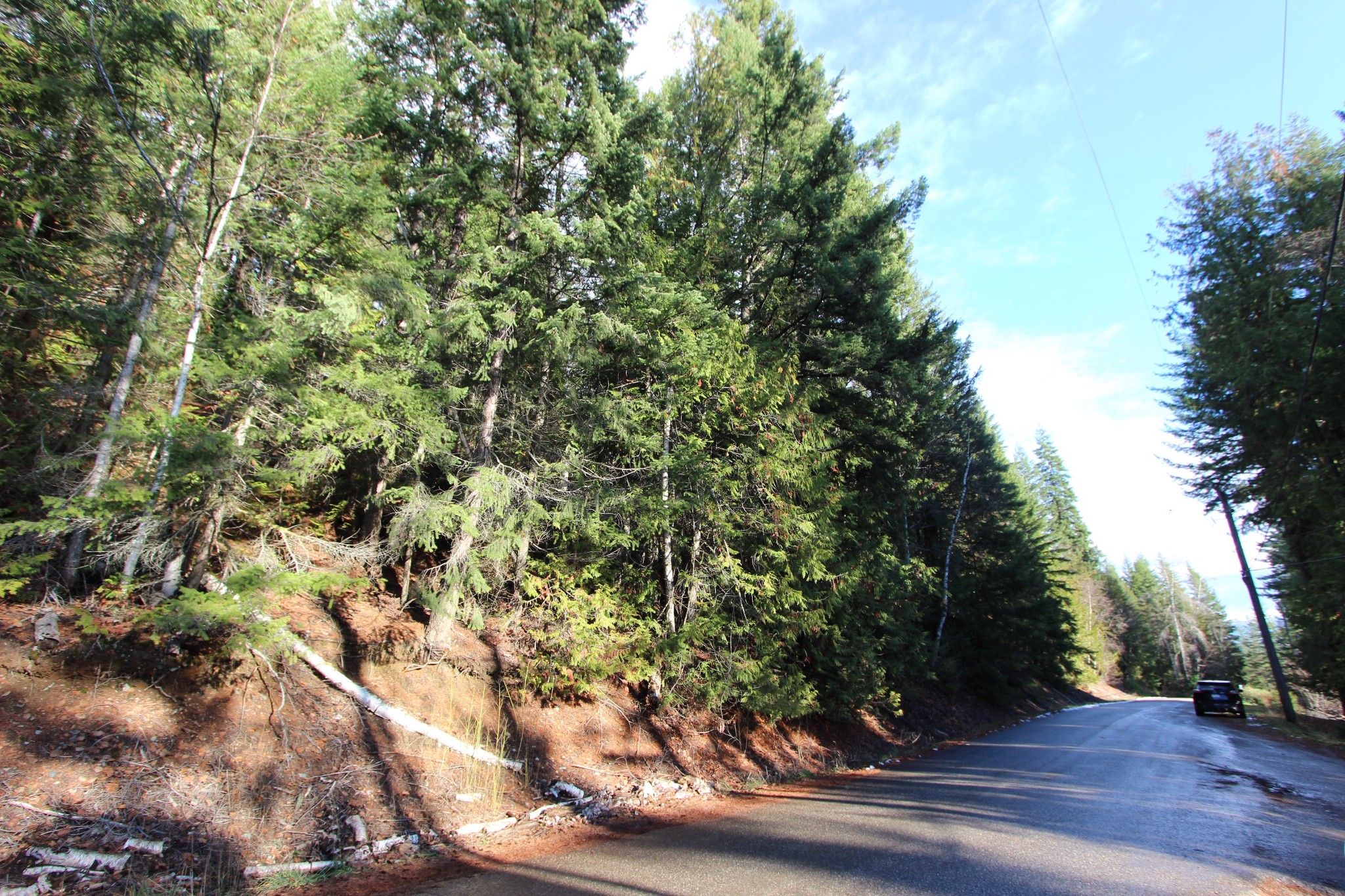 Main Photo: Lot 22 Vickers Trail: Anglemont Vacant Land for sale (North Shuswap)  : MLS®# 10243424