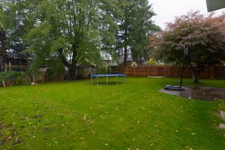 Photo 19: 13098 95 Avenue in Surrey: Queen Mary Park Surrey House for sale : MLS®# R2508069