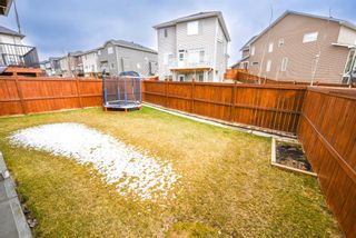 Photo 41: 141 Sherwood Heights NW in Calgary: Sherwood Detached for sale : MLS®# A1216355