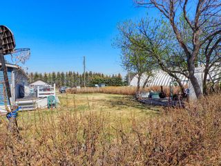 Photo 10: 40503 Range Road 255: Rural Lacombe County Detached for sale : MLS®# A2046107