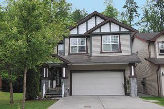 Photo 1: 24330 100B Avenue in Maple Ridge: Albion House for sale : MLS®# R2073039