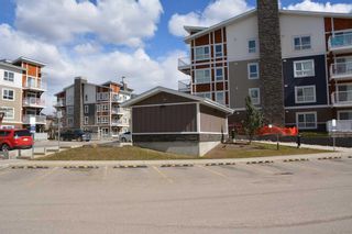 Photo 24: 3102 302 Skyview Ranch Drive NE in Calgary: Skyview Ranch Apartment for sale : MLS®# A2118945