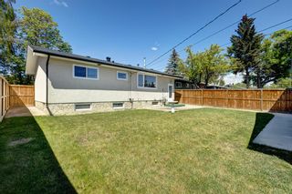 Photo 29: 2228 38 Street SE in Calgary: Forest Lawn Detached for sale : MLS®# A2051536