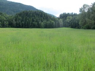 Photo 1: 595 Albers Road, in Lumby: Agriculture for sale : MLS®# 10256673