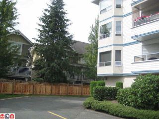 Photo 10: 204 5377 201A Street in Langley: Langley City Condo for sale in "RED MAPLE PLACE" : MLS®# R2095794