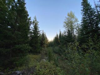Photo 18: N1/2of DL7871 TAKLA FOREST Road in Prince George: Nechako Ridge Land for sale in "McPhee Road" (PG City North)  : MLS®# R2768067