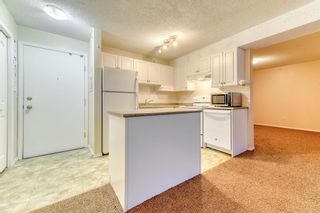 Photo 8: 409 1717 60 Street SE in Calgary: Red Carpet Apartment for sale : MLS®# A2010861