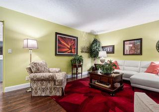 Photo 11: 2212 41 Street SE in Calgary: Forest Lawn Detached for sale : MLS®# A2050133