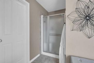 Photo 25: 185 Everwoods Close SW in Calgary: Evergreen Detached for sale : MLS®# A2075399