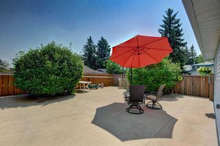 Photo 4: 919 124 Avenue SW in Calgary: Canyon Meadows Detached for sale : MLS®# A2064183