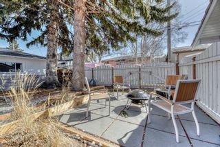 Photo 36: 3804 31 Street SW in Calgary: Rutland Park Detached for sale : MLS®# A1195883