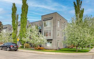 Main Photo: 209 1939 30 Street SW in Calgary: Killarney/Glengarry Apartment for sale : MLS®# A2051209