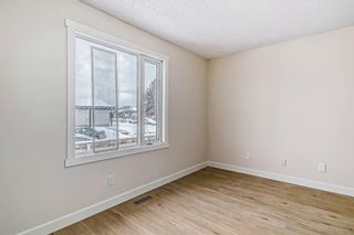 Photo 21: 12 Templevale Gate NE in Calgary: Temple Detached for sale : MLS®# A2023278