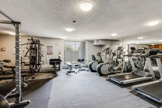 Photo 20: 629 30 McHugh Court NE in Calgary: Mayland Heights Apartment for sale : MLS®# A2000044