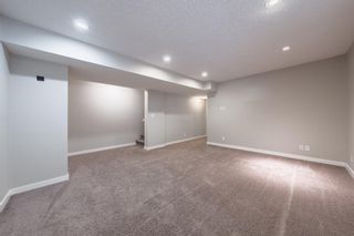 Photo 26: 397 Cranberry Circle SE in Calgary: Cranston Detached for sale : MLS®# A1183683