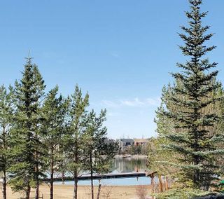 Photo 41: 98 Auburn Glen Common SE in Calgary: Auburn Bay Detached for sale : MLS®# A2059126