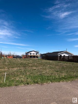Photo 4: 11 Marina Crescent: Rural Stettler County Rural Land/Vacant Lot for sale : MLS®# E4293332
