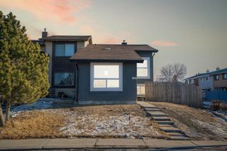 Photo 33: 2716 66 Street NE in Calgary: Pineridge Semi Detached (Half Duplex) for sale : MLS®# A2020775