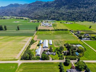 Photo 36: 1160 MARION Road in Abbotsford: Sumas Prairie House for sale : MLS®# R2709247