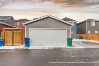 Photo 33: 344 Bayview Street SW: Airdrie Detached for sale : MLS®# A2124477