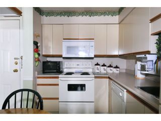 Photo 7: # 221 22661 LOUGHEED HY in Maple Ridge: East Central Condo for sale : MLS®# V1054025