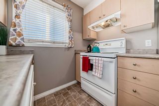 Photo 10: 8102 304 Mackenzie Way SW: Airdrie Apartment for sale : MLS®# A2120280
