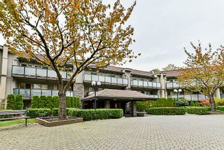 Photo 19: 315 4363 HALIFAX Street in Burnaby: Brentwood Park Condo for sale in "BRENT GARDENS" (Burnaby North)  : MLS®# R2220468