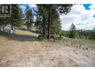 Photo 14: 222 Grizzly Place in Osoyoos: Vacant Land for sale : MLS®# 10310334