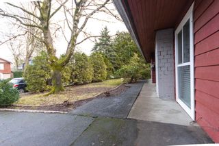 Photo 33: 22898 FULLER Avenue in Maple Ridge: East Central House for sale : MLS®# R2639523