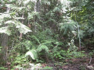 Photo 8: Lot 23 Vickers Trail in Anglemont: Land Only for sale : MLS®# 10011652