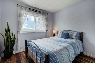 Photo 15: 13716 Deer Ridge Drive SE in Calgary: Deer Ridge Detached for sale : MLS®# A2133247