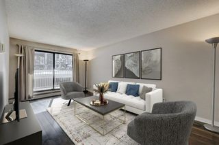 Photo 1: 109 835 19 Avenue SW in Calgary: Lower Mount Royal Apartment for sale : MLS®# A2053812