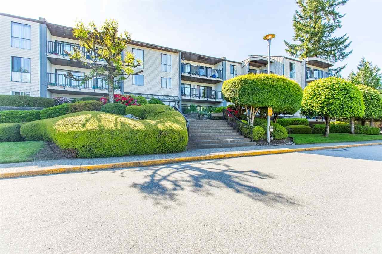 Main Photo: 305 9952 149 STREET in : Guildford Condo for sale : MLS®# R2458691