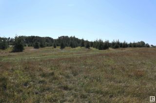 Photo 3: Hwy 622 RR 15: Rural Leduc County Vacant Lot/Land for sale : MLS®# E4328616