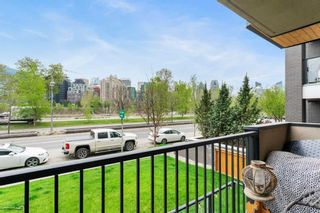 Photo 5: 205 916 Memorial Drive NW in Calgary: Sunnyside Apartment for sale : MLS®# A2132485