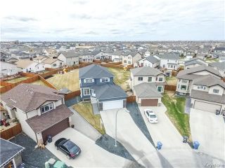 Photo 17: 19 Stan Turriff Place in Winnipeg: Canterbury Park Residential for sale (3M)  : MLS®# 1709008