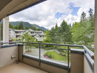Photo 17: 303 3280 PLATEAU BOULEVARD in Coquitlam: Westwood Plateau Condo for sale : MLS®# R2275918
