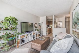 Photo 15: 508 340 14 Avenue SW in Calgary: Beltline Apartment for sale : MLS®# A2038509