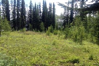 Photo 29: LOT 21 BRAYANSTON Drive in Smithers: South Francois Land for sale (Burns Lake)  : MLS®# R2710049
