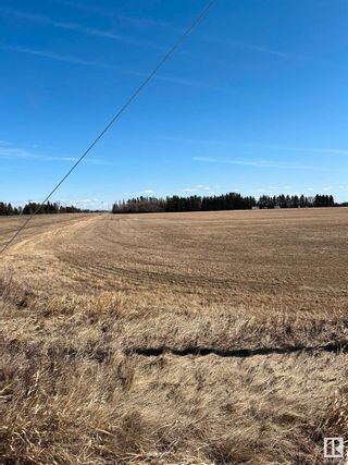 Photo 2: Range Road 242 Hwy 37: Rural Sturgeon County Vacant Lot/Land for sale : MLS®# E4381563