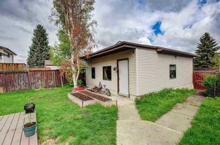Photo 37: 220 Templewood Road NE in Calgary: Temple Detached for sale : MLS®# A2133781