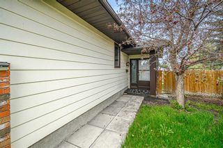Photo 32: 347 Templevale Place NE in Calgary: Temple Detached for sale : MLS®# A2132443