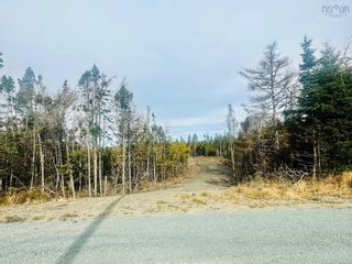 Photo 20: Lot 09-4 West Liscomb Point Road in West Liscomb: 303-Guysborough County Vacant Land for sale (Highland Region)  : MLS®# 202324034