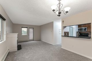 Photo 25: 306 790 Kingsmere Crescent SW in Calgary: Kingsland Apartment for sale : MLS®# A1166800