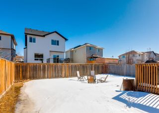 Photo 30: 2846 Chinook Winds Drive SW: Airdrie Detached for sale : MLS®# A2042744