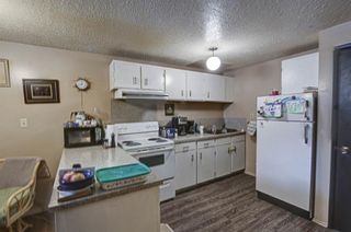 Photo 15: 53 & 55 Dovercliffe Way SE in Calgary: Dover Duplex for sale : MLS®# A1178005