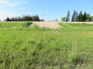 Photo 7: 0 PTH 15 Highway in Dugald: RM Springfield Vacant Land for sale (R04)  : MLS®# 202016001