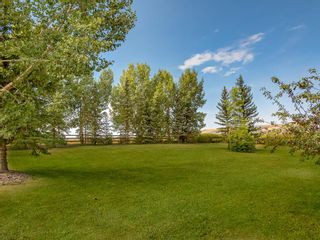 Photo 47: 181 Springbank Heights Place in Rural Rocky View County: Rural Rocky View MD Detached for sale : MLS®# A2018175