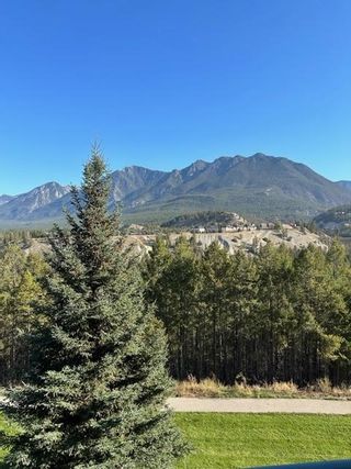 Photo 11: 314 - 4769 FORESTERS LANDING ROAD in Radium Hot Springs: Condo for sale : MLS®# 2474564