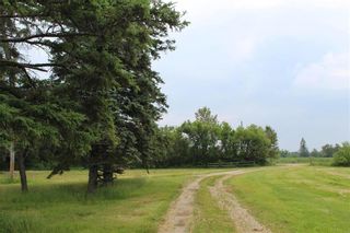 Photo 3: 44087 33 N Road in La Broquerie: Vacant Land for sale : MLS®# 202403022